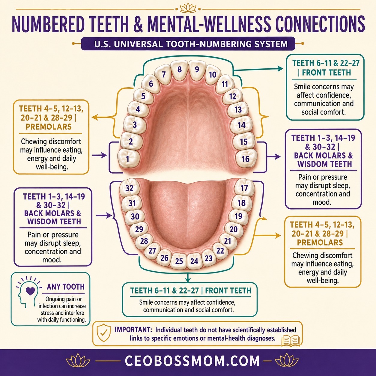 TEETH & MENTAL WELLNESS