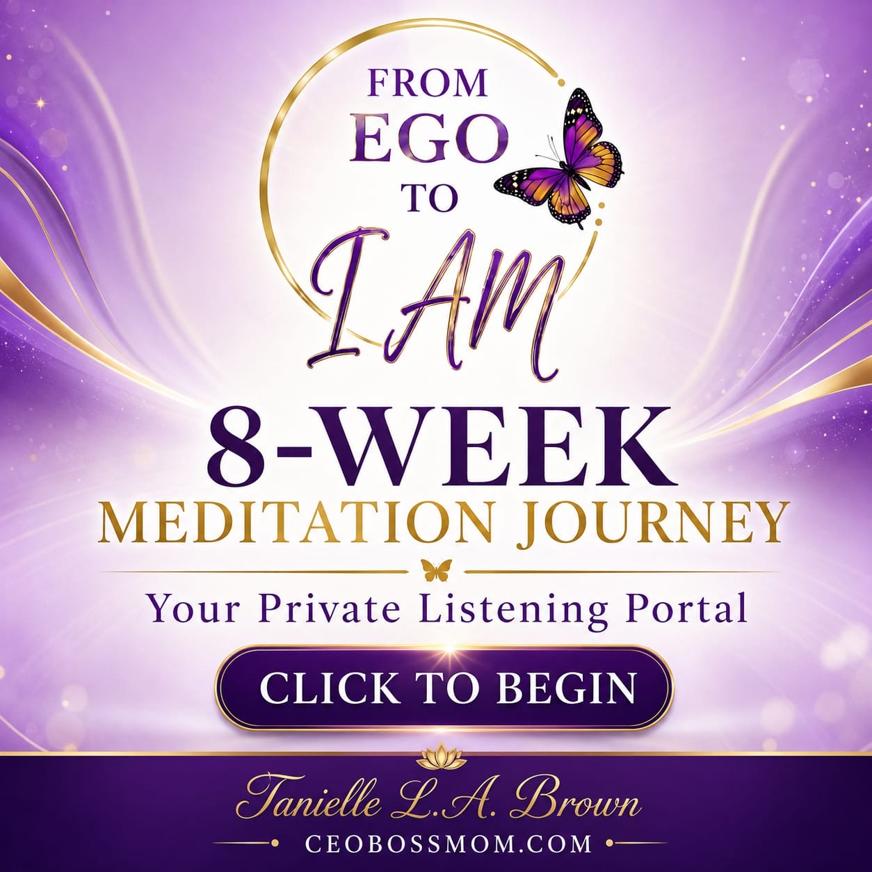 8-Week Meditation Journey